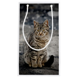 Portret van een kat klein cadeauzakje