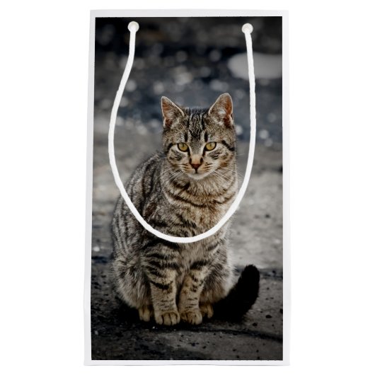 Portret van een kat klein cadeauzakje (Voorkant)