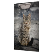 Portret van een kat klembord (Links)