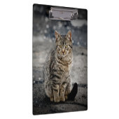 Portret van een kat klembord (Rechts)