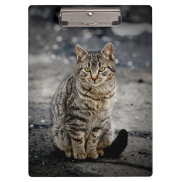 Portret van een kat klembord