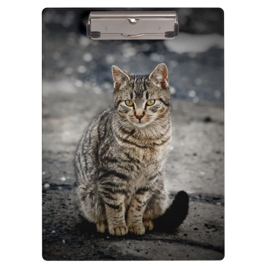 Portret van een kat klembord (Voorkant)