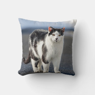 Portret van een kat kussen