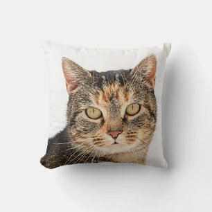 Portret van een kat kussen