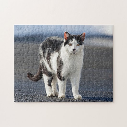 Portret van een kat legpuzzel (Horizontaal)