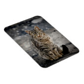 Portret van een kat magneet (Rechterzijde)