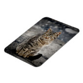 Portret van een kat magneet (Linkerzijde)