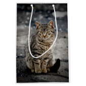 Portret van een kat medium cadeauzakje (Voorkant)