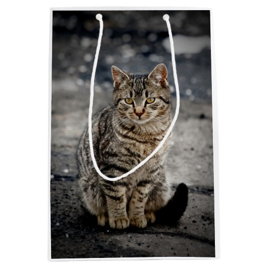 Portret van een kat medium cadeauzakje (Voorkant)