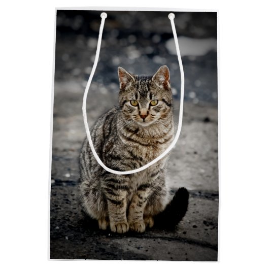 Portret van een kat medium cadeauzakje (Achterkant)