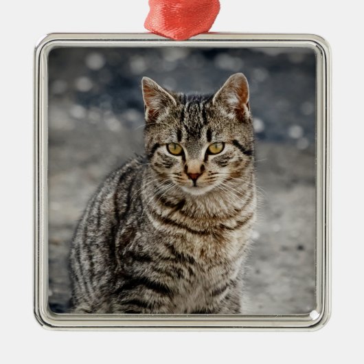 Portret van een kat metalen ornament (Voorkant)