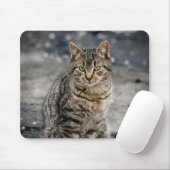Portret van een kat muismat (Met muis)