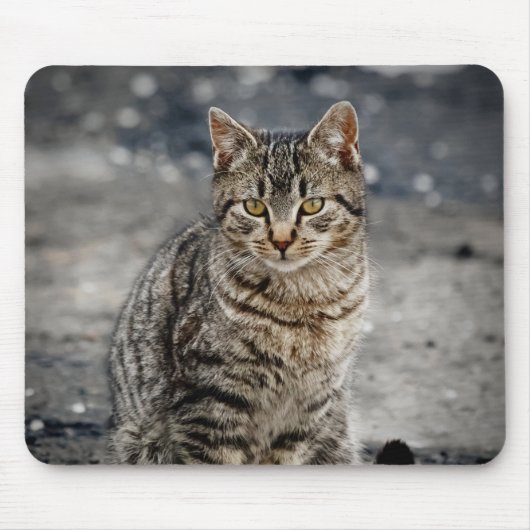 Portret van een kat muismat (Voorkant)