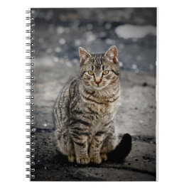 Portret van een kat notitieboek