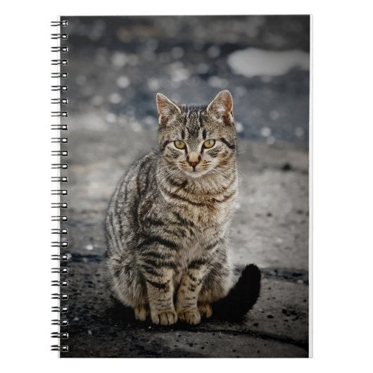 Portret van een kat notitieboek (Voorkant)