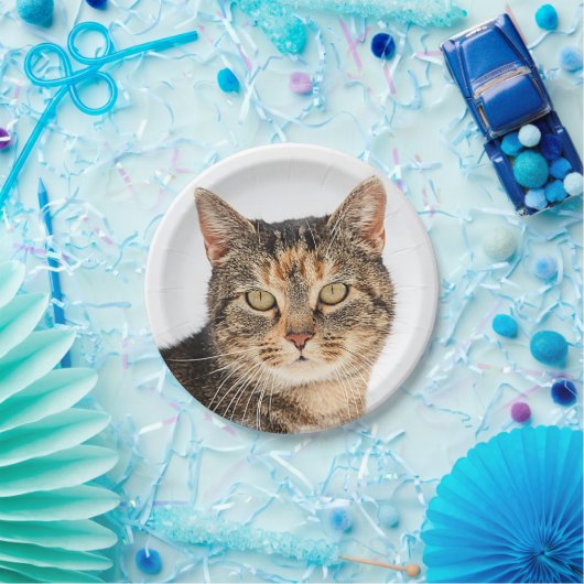 Portret van een kat papieren bordje (Feest)