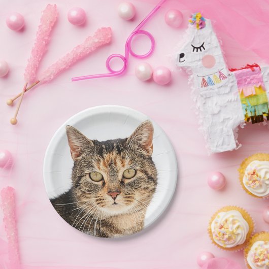 Portret van een kat papieren bordje (Feest)