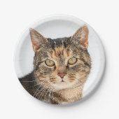 Portret van een kat papieren bordje (Voorkant)