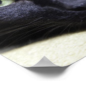 Portret van een kat poster (Hoek)