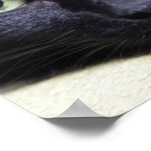 Portret van een kat poster (Hoek)