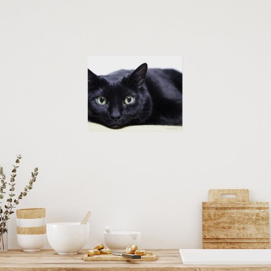 Portret van een kat poster (Keuken)