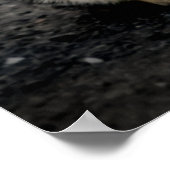 Portret van een kat poster (Hoek)