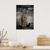 Portret van een kat poster (Keuken)