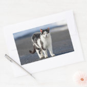 Portret van een kat rechthoekige sticker (Envelop)