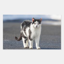 Portret van een kat rechthoekige sticker