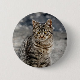 Portret van een kat ronde button 5,7 cm
