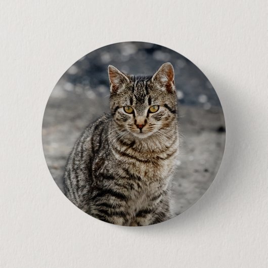 Portret van een kat ronde button 5,7 cm (Voorkant)