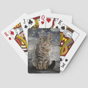 Portret van een kat speelkaarten
