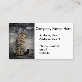 Portret van een kat visitekaartje