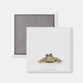 Portret van een kikker in een witte studio magneet (Voorkant / Achterkant)