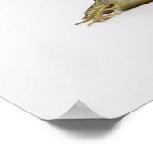 Portret van een kikker in een witte studio poster (Hoek)