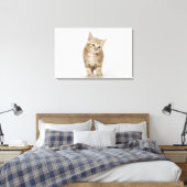 Portret van een kitten canvas afdruk (Insitu (Slaapkamer))