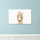 Portret van een kitten canvas afdruk (Insitu (Houten vloer))