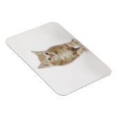 Portret van een kitten magneet (Rechterzijde)
