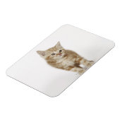 Portret van een kitten magneet (Linkerzijde)