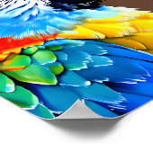 Portret van een kleurrijke papegaai poster (Hoek)