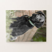 Portret van een labrador puppy legpuzzel (Horizontaal)