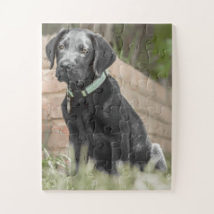Portret van een labrador puppy legpuzzel