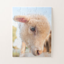 Portret van een lampje