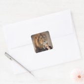 Portret van een leeuw vierkante sticker (Envelop)