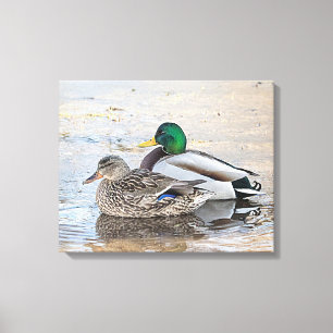 Portret van een mannelijke en vrouw-mallard canvas afdruk