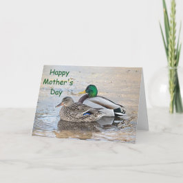 Portret van een mannelijke en vrouw-mallard kaart