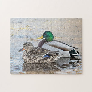 Portret van een mannelijke en vrouw-mallard legpuzzel