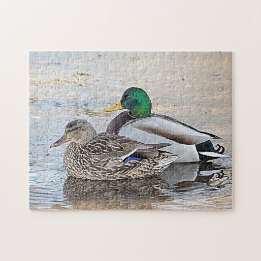 Portret van een mannelijke en vrouw-mallard legpuzzel (Horizontaal)