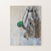 Portret van een mannelijke en vrouw-mallard legpuzzel (Verticaal)