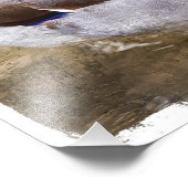 Portret van een mannelijke mallard foto afdruk (Hoek)